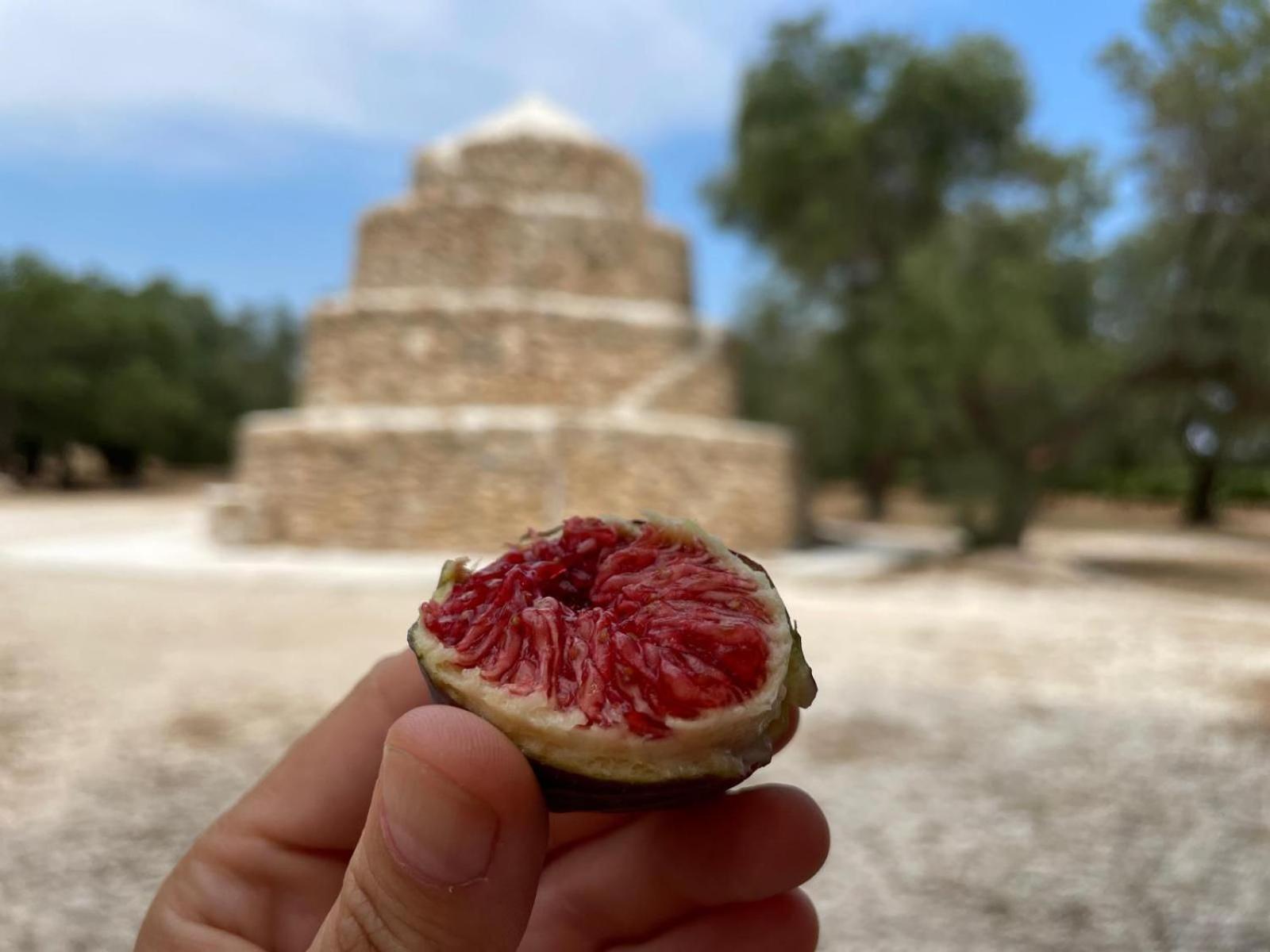 B&B Borgo Monacizzo エクステリア 写真